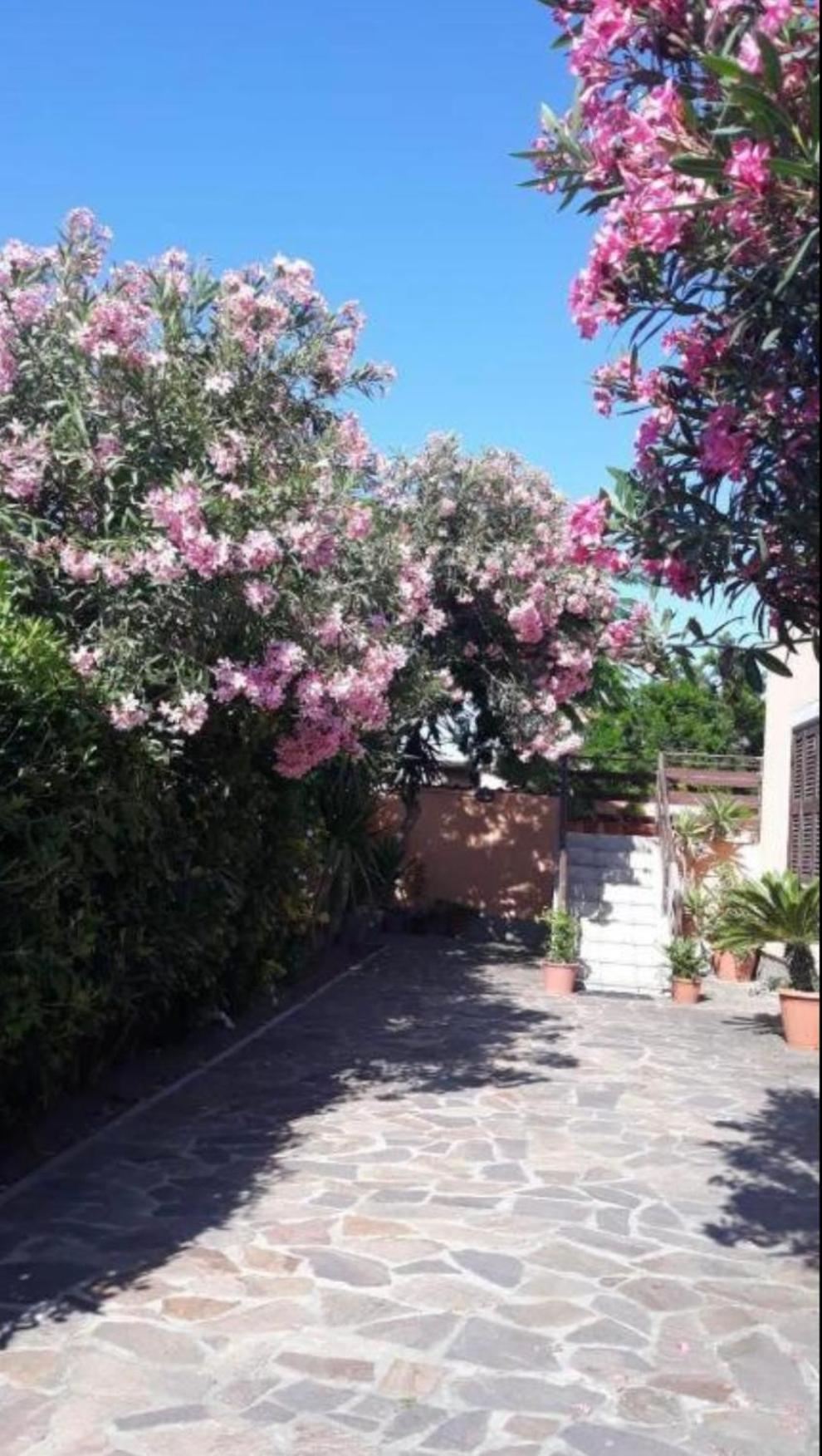 Giorgia Airport 2 Fiumicino Bed and Breakfast Εξωτερικό φωτογραφία